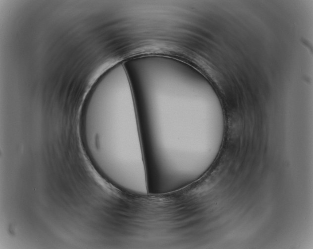 X0000097671034200803071550