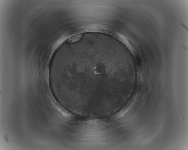 X0000097671035200803071550