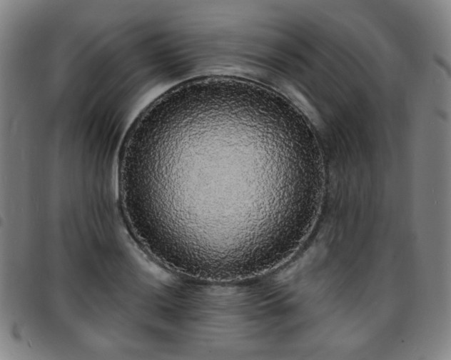 X0000097671036200803071550