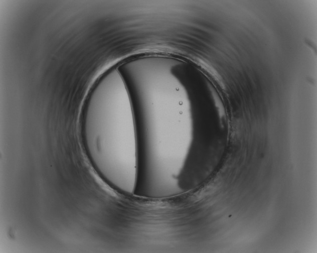 X0000097671037200803071550