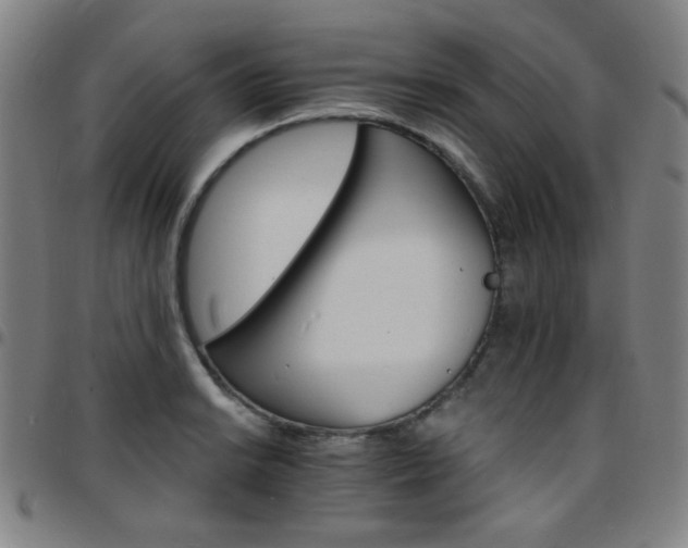 X0000097671038200803071550