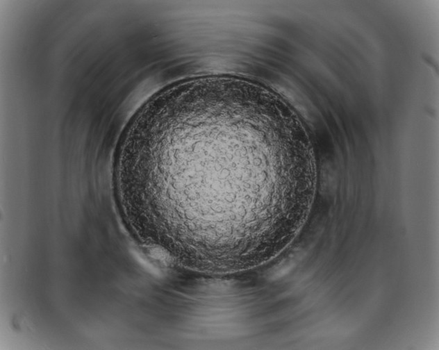 X0000097671039200803071550
