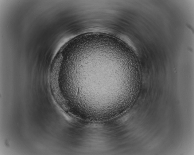 X0000097671040200803071550