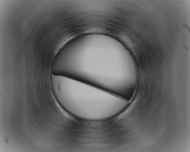 X0000097671041200803071550