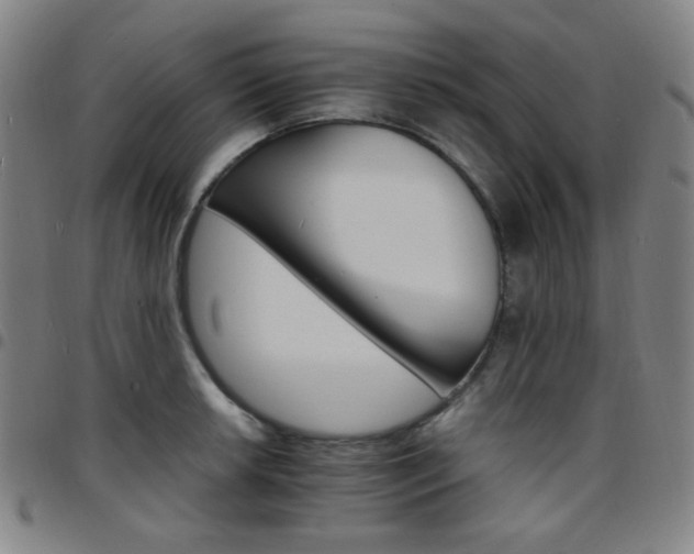 X0000097671042200803071550