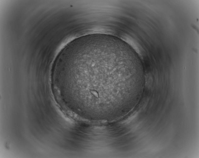 X0000097671043200803071550