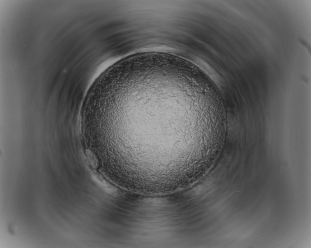X0000097671044200803071550