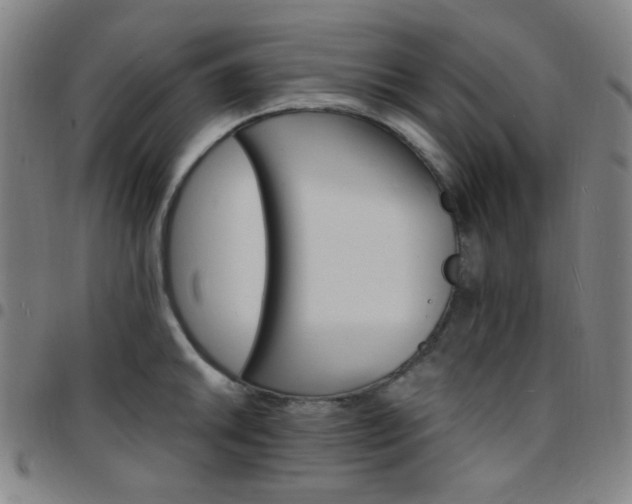X0000097671046200803071550