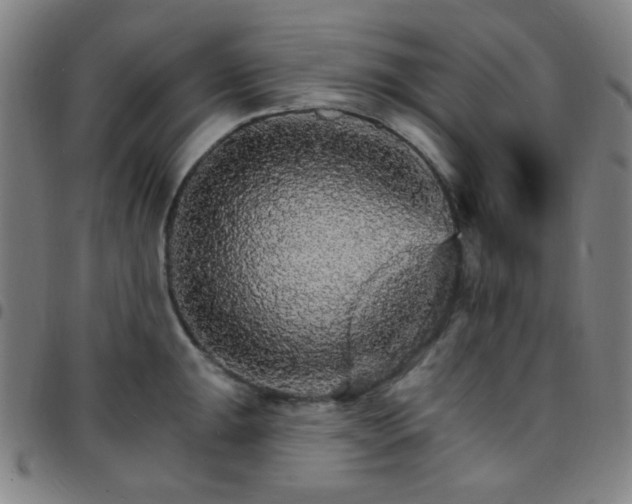 X0000097671047200803071550