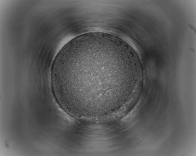 X0000097671048200803071550