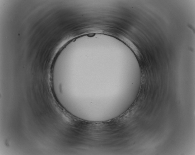 X0000097671051200803071551