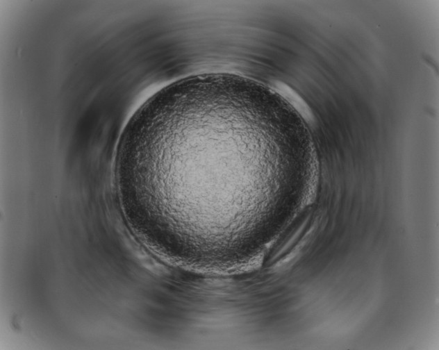 X0000097671052200803071551
