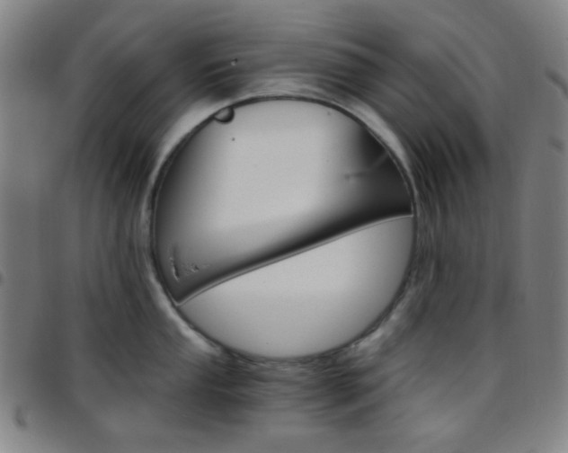 X0000097671053200803071551