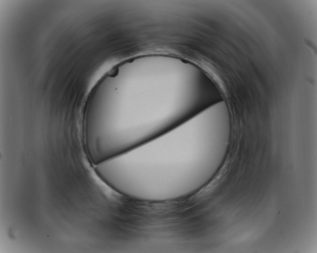 X0000097671054200803071551