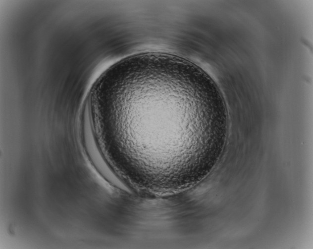 X0000097671056200803071551