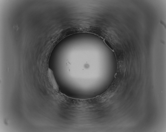 X0000097671057200803071550