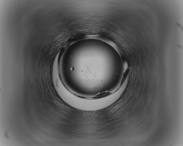 X0000097671058200803071550