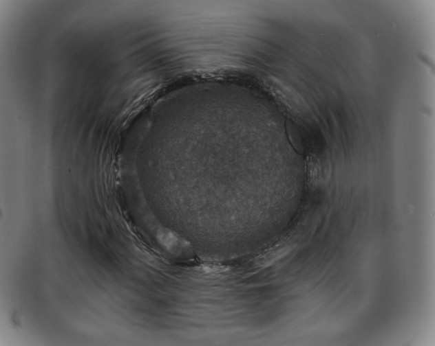 X0000097671060200803071550