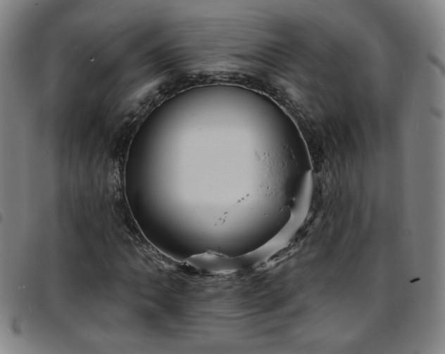 X0000097671062200803071550