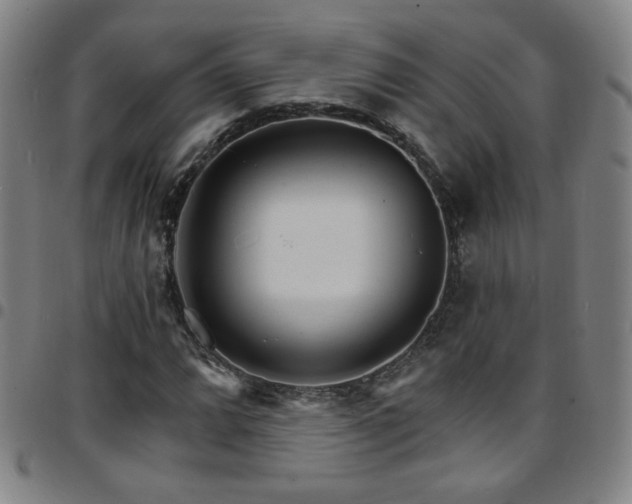 X0000097671064200803071550