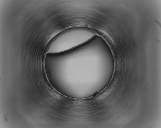 X0000097671065200803071550