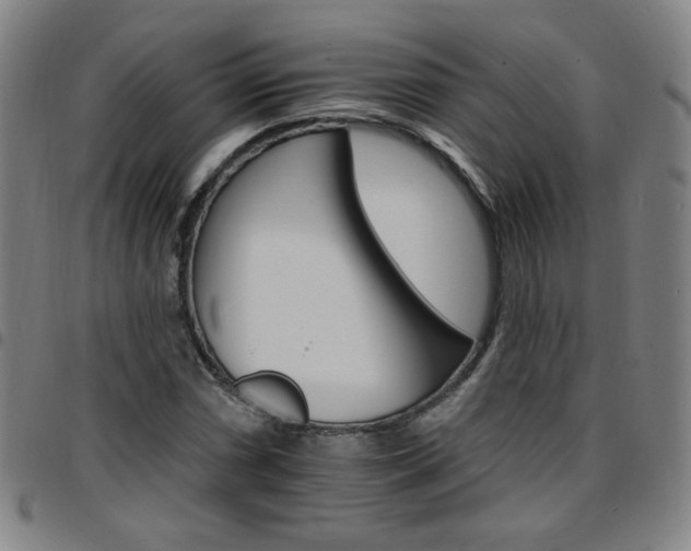 X0000097671066200803071550