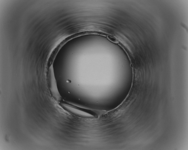 X0000097671068200803071550
