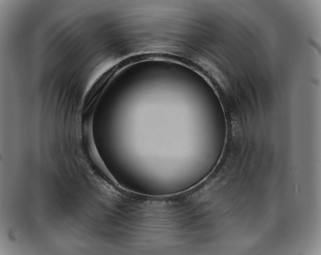X0000097671069200803071550