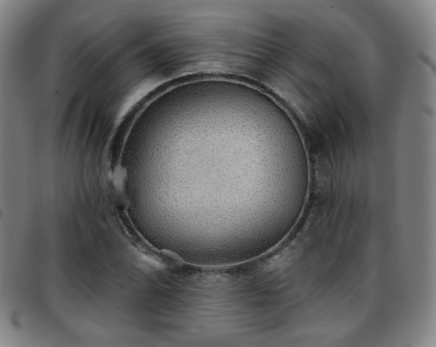 X0000097671070200803071550