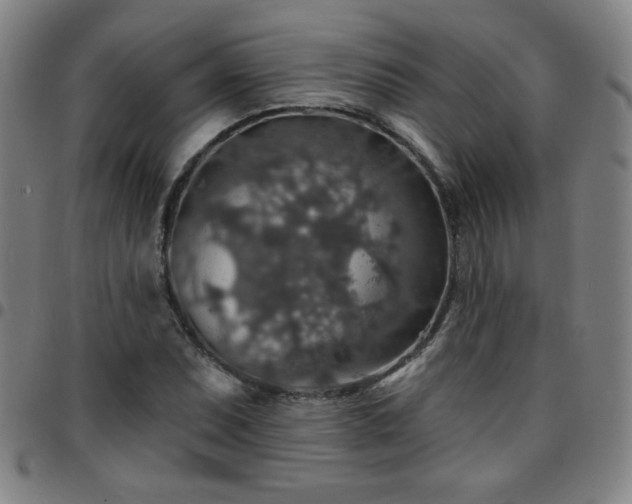 X0000097671071200803071550