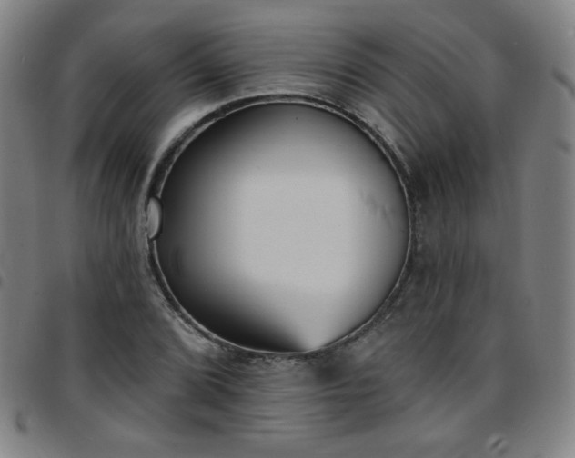 X0000097671072200803071550
