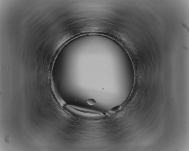 X0000097671073200803071550