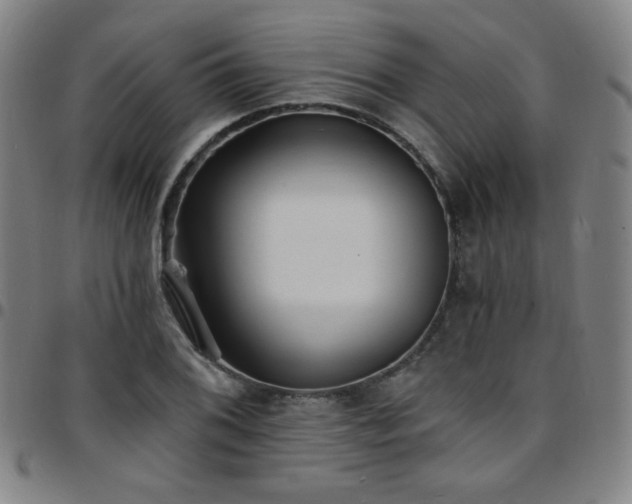 X0000097671076200803071550