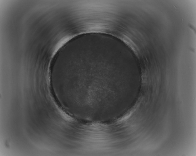 X0000097671077200803071550