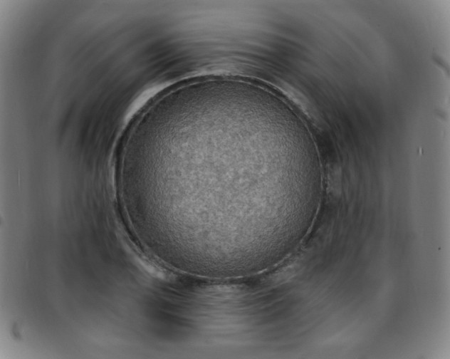 X0000097671078200803071550