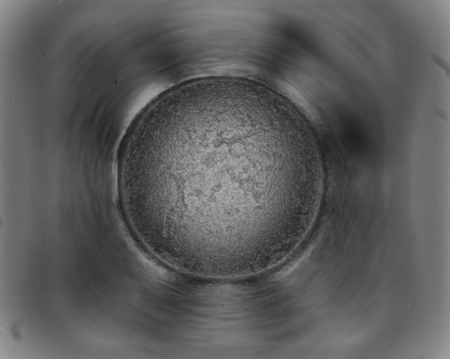 X0000097671079200803071550