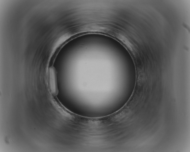 X0000097671080200803071550
