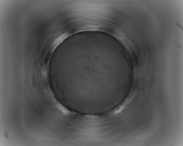 X0000097671081200803071550