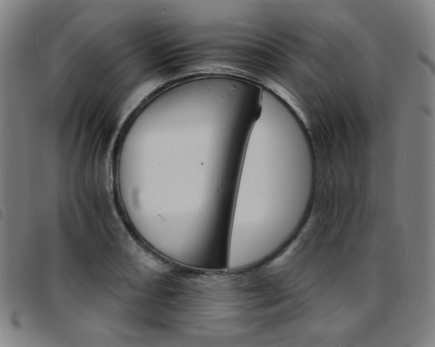 X0000097671082200803071550