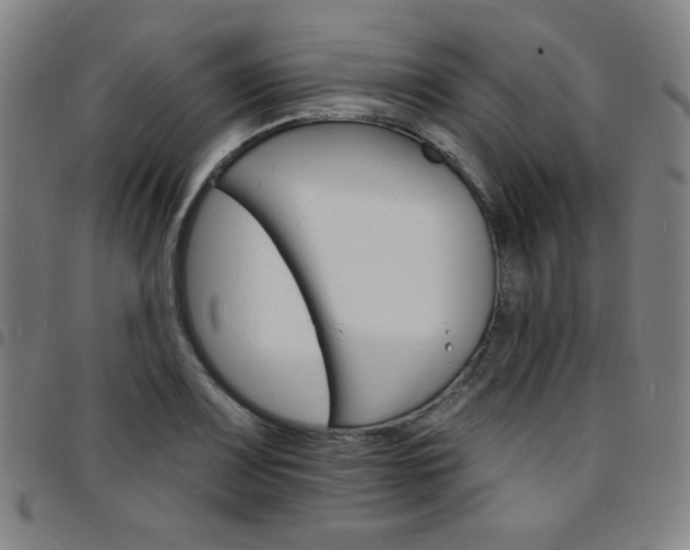 X0000097671083200803071550