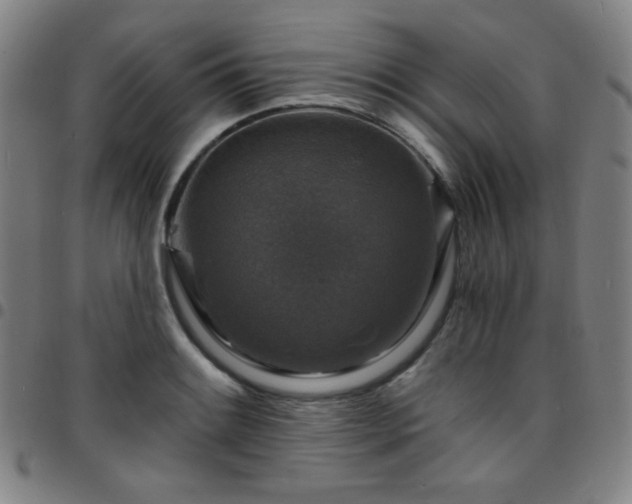 X0000097671084200803071550