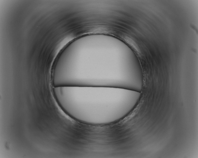 X0000097671087200803071550