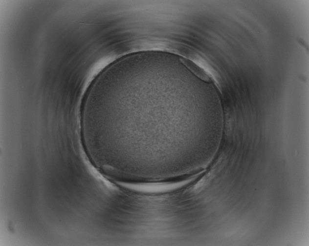 X0000097671088200803071550