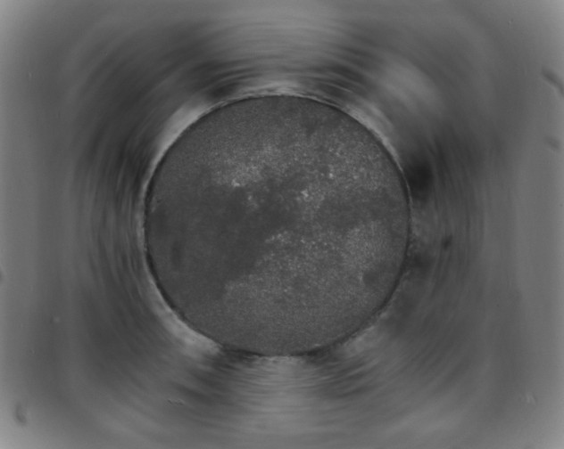 X0000097671090200803071549