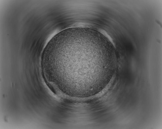 X0000097671091200803071549