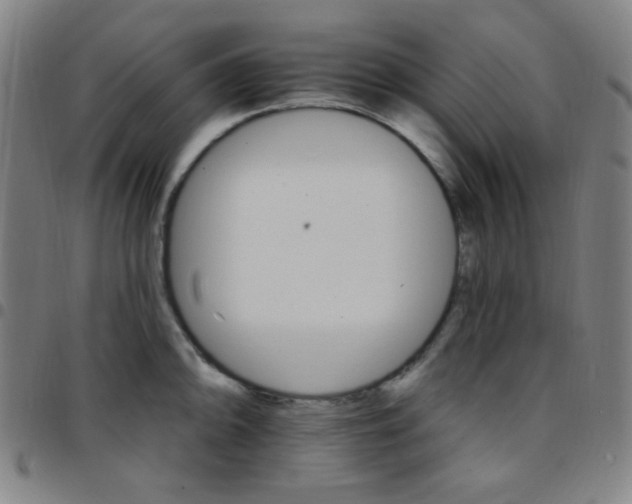 X0000097671094200803071549