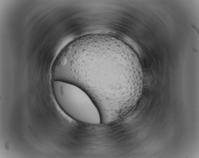 X0000097671095200803071549