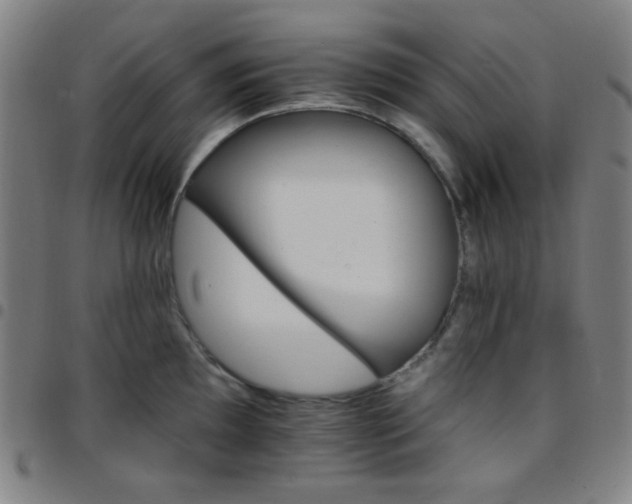 X0000097671097200803071549