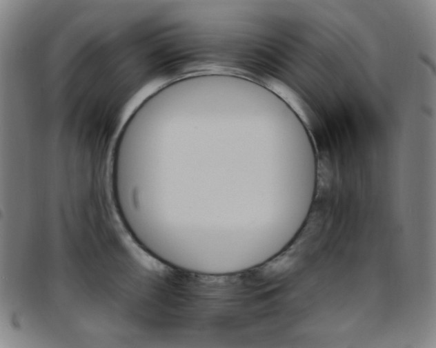 X0000097671098200803071549