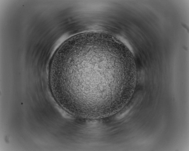 X0000097671099200803071549